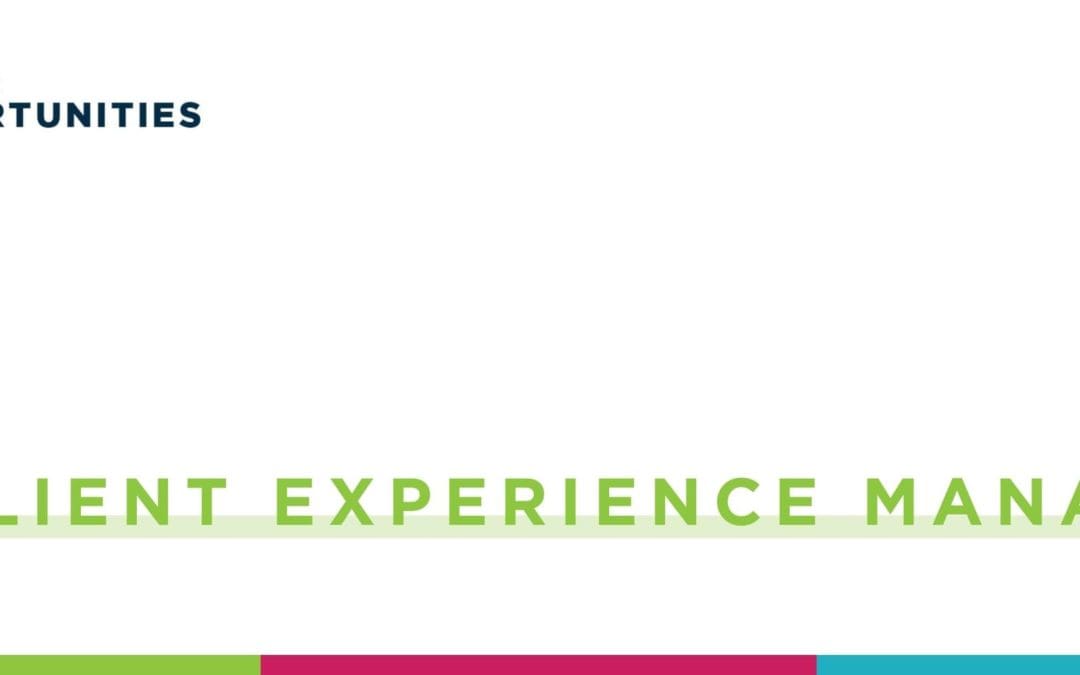 Client Experience Manager