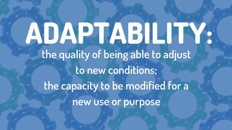 The Importance of Adaptability