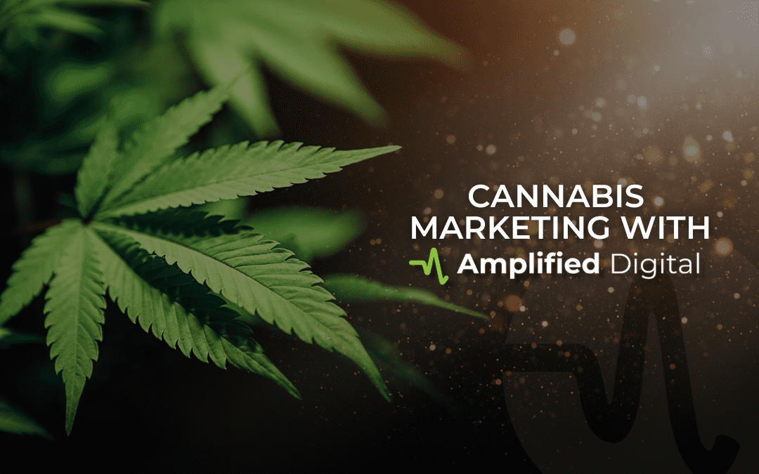Cannabis Marketing with Amplified Digital
