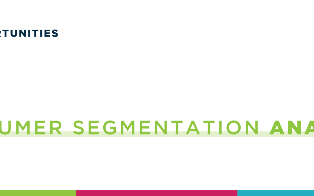 Consumer Segmentation Analyst